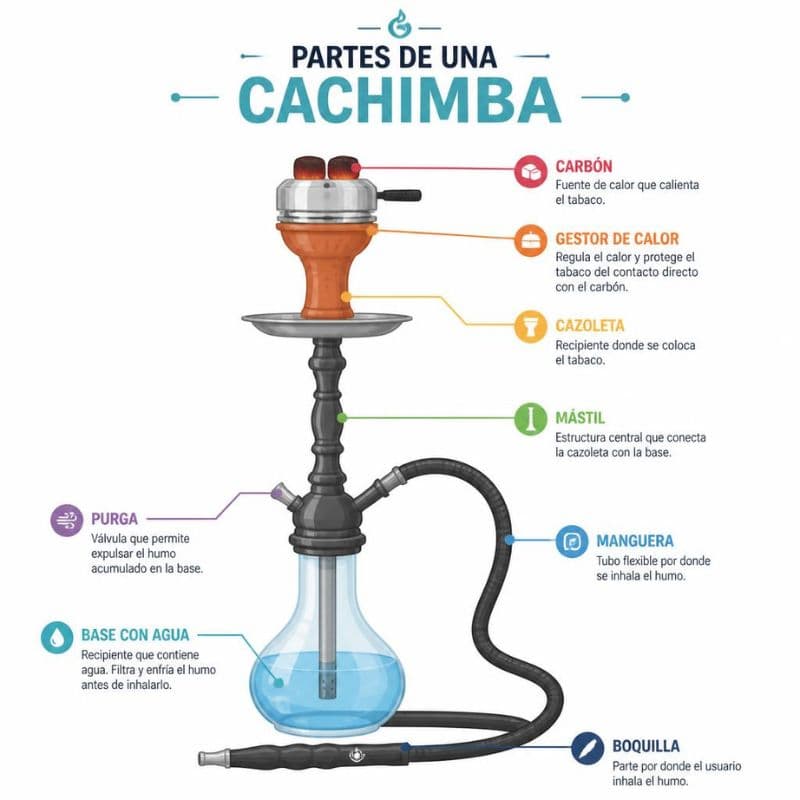 partes de una cachimba